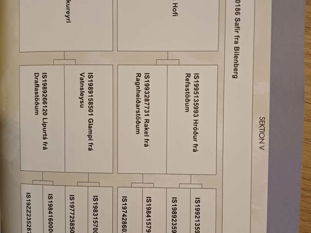 Billede 7 - Lækker islænderhoppe på 3 år
