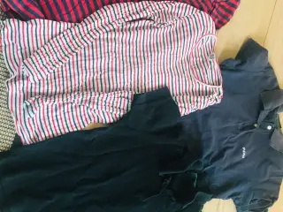 Bluse, polo