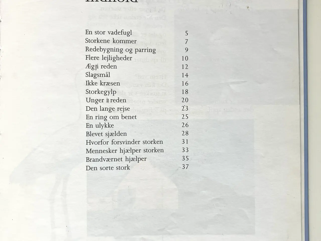 Billede 3 - Storken - en sjælden fugl i Danmark. Af Poul Kr. J