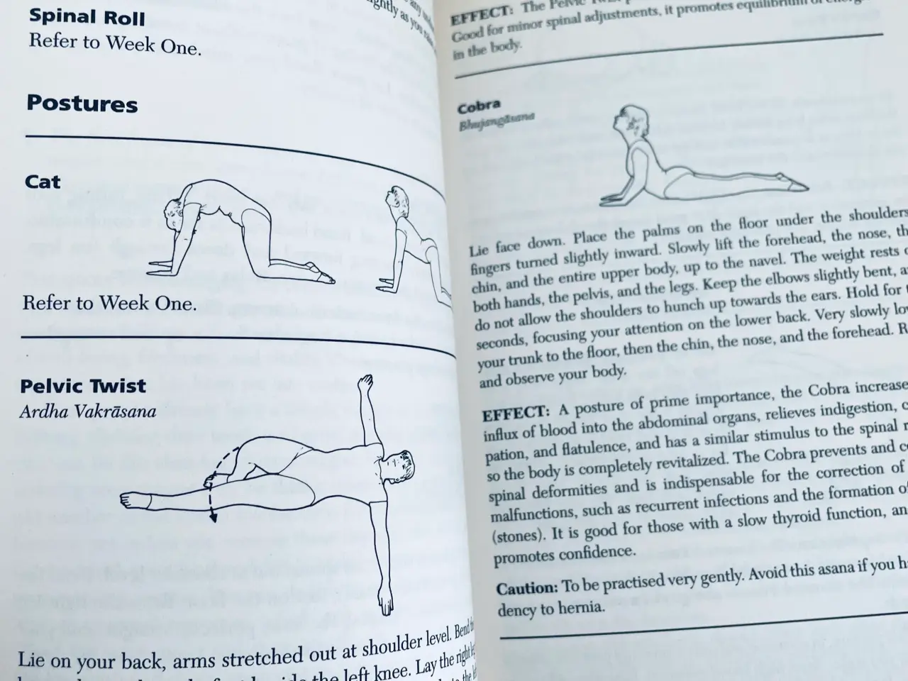 Billede 3 - Yoga a practical introduction 