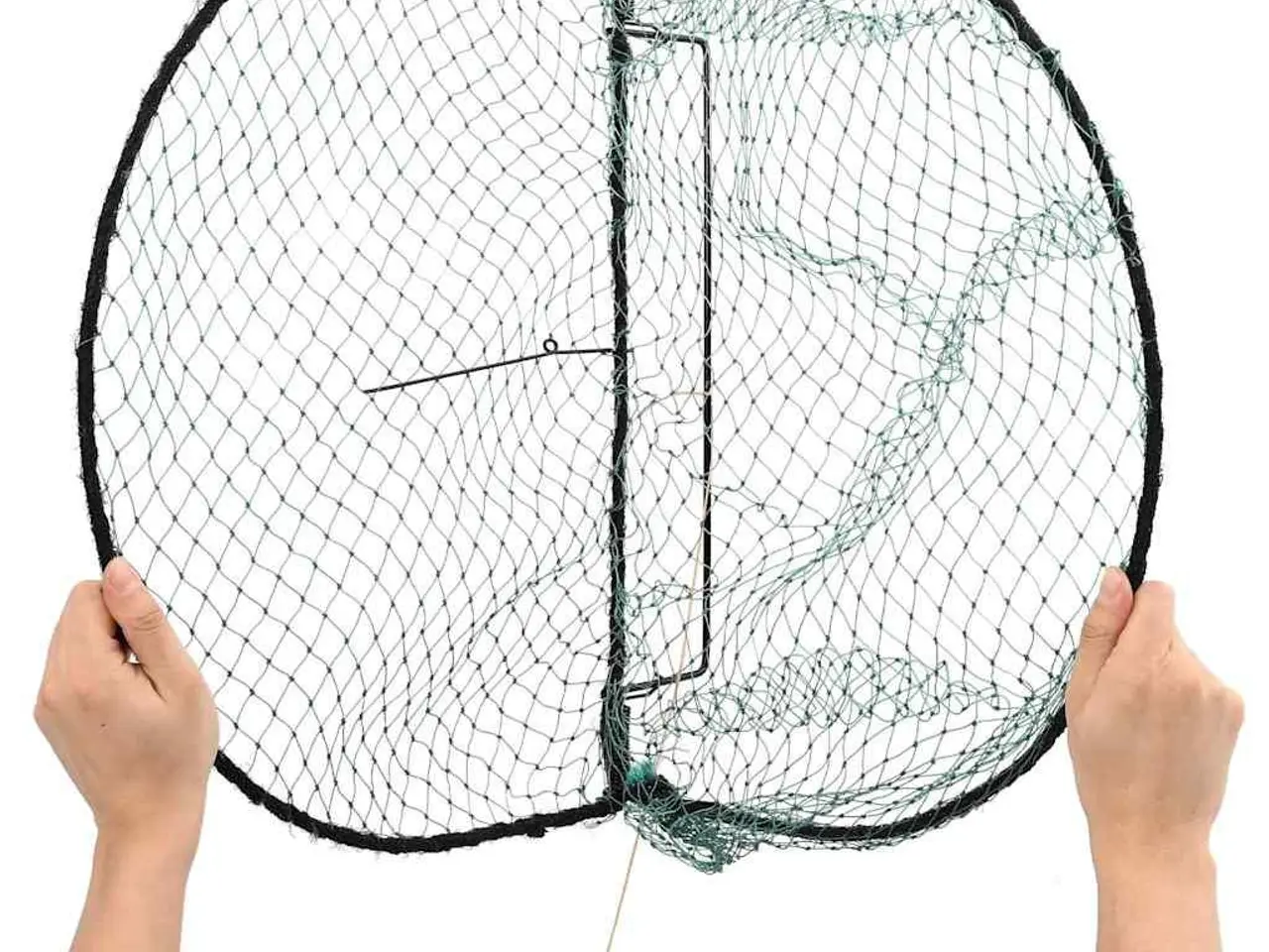 Billede 7 - Fuglenet 50 cm - stålramme, grøn