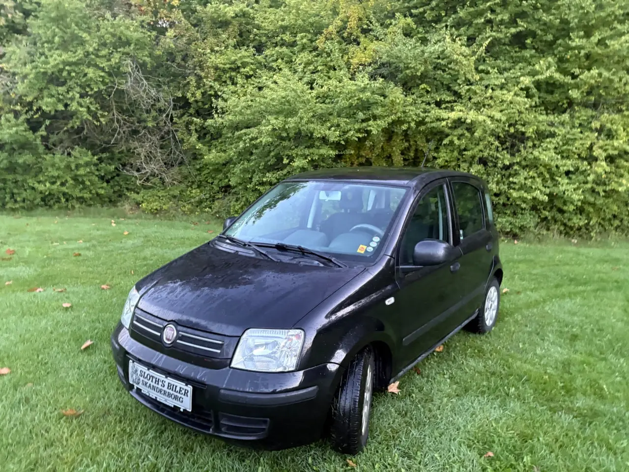 Billede 5 - Fiat Panda 1,2 69 Dynamic