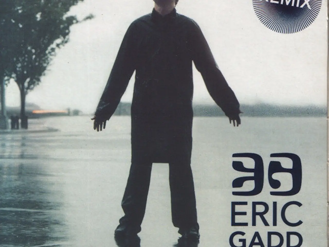 Billede 1 - Eric Gadd – The Rain (Remix) – CD