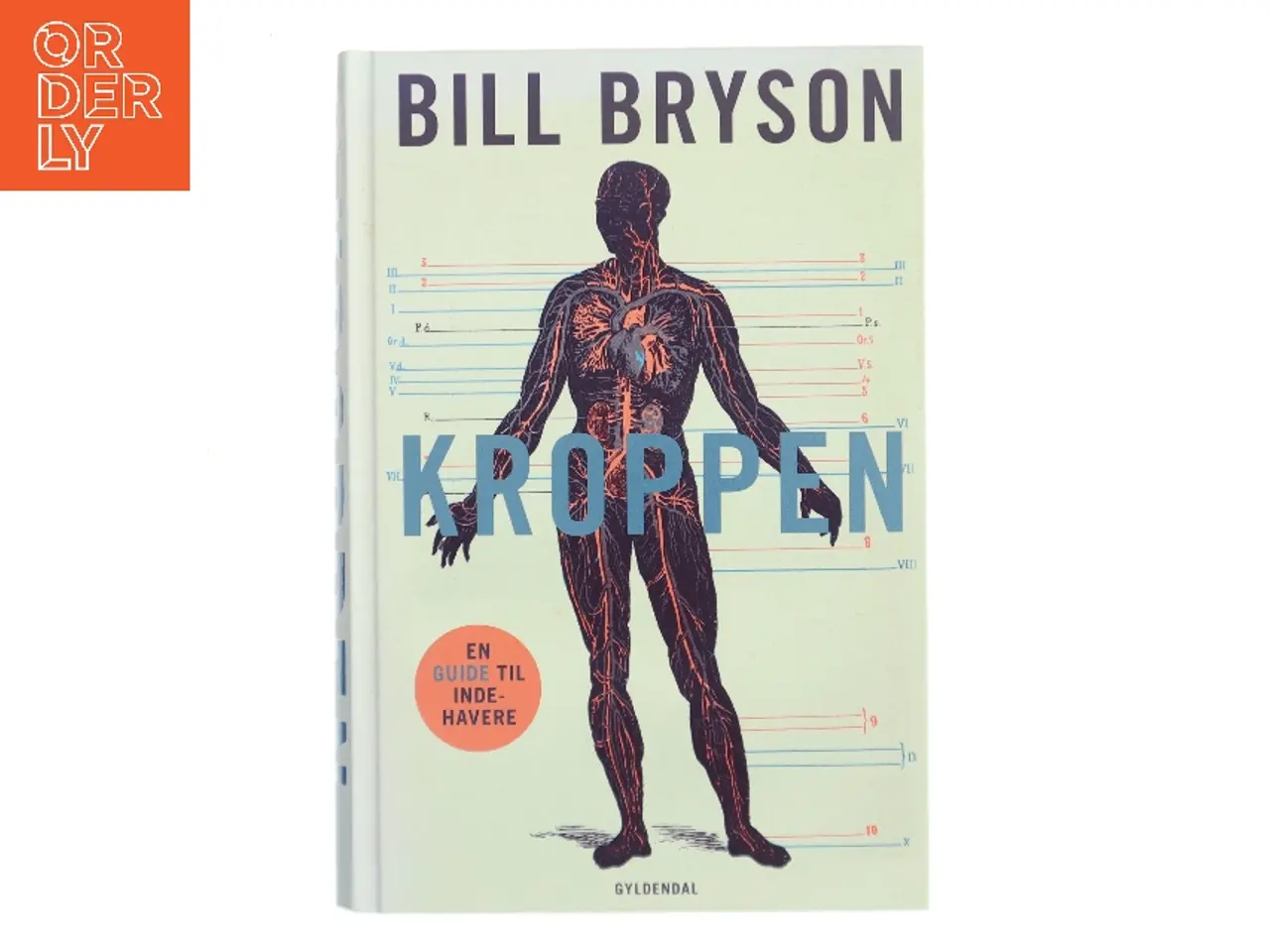 Billede 1 - Kroppen : en guide til indehavere af Bill Bryson (Bog)