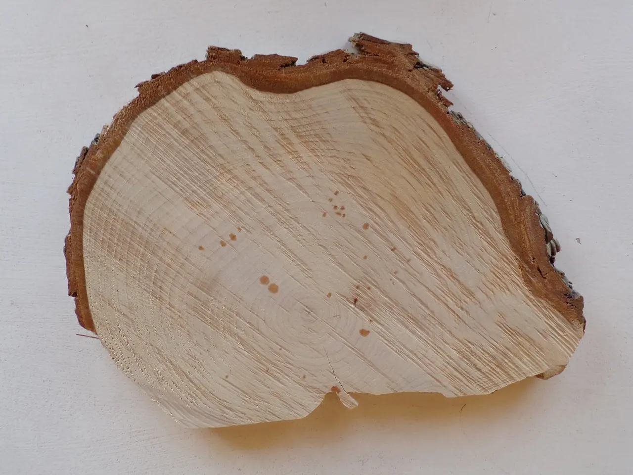 Billede 1 - Thuja Træskive med bark - 29,5 cm lang