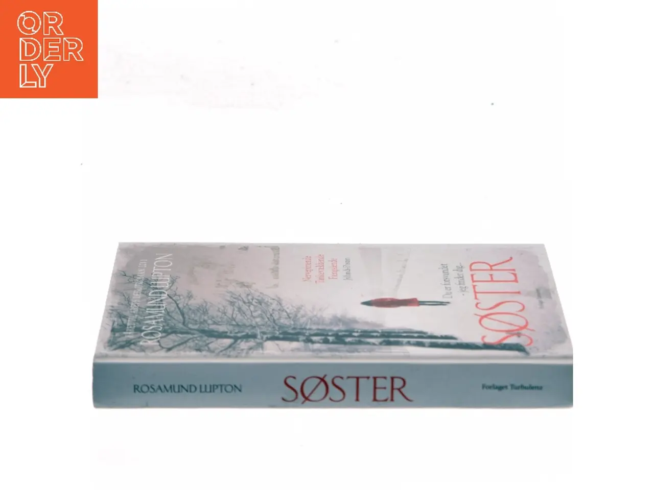 Billede 2 - Søster af Rosamund Lupton (Bog)