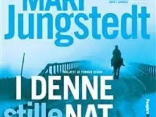 Lydbog "I denne stille nat" af Mari Jungstedt