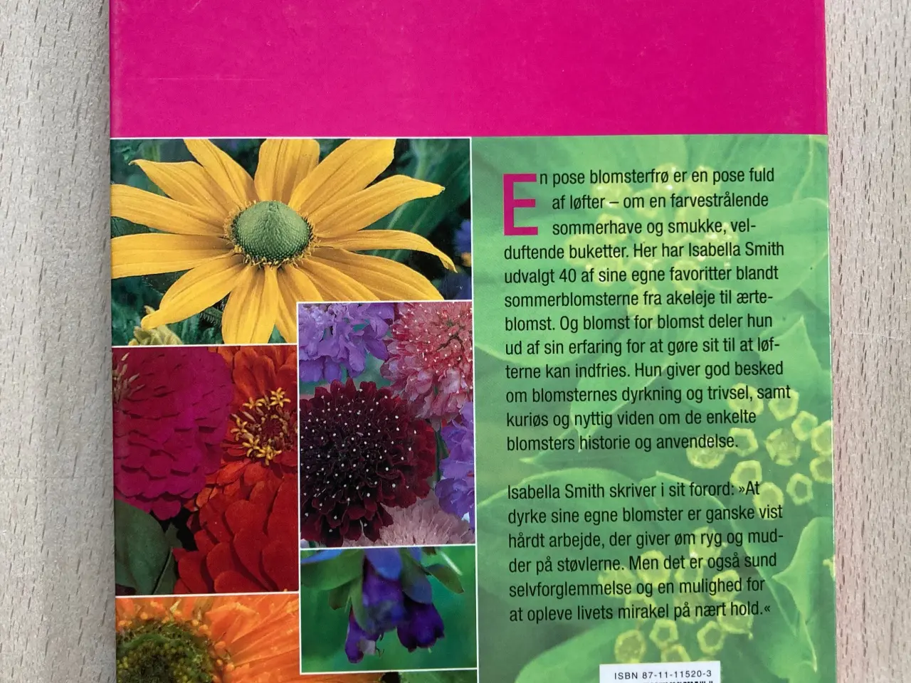 Billede 2 - Fra frø til blomst, Isabella Smith