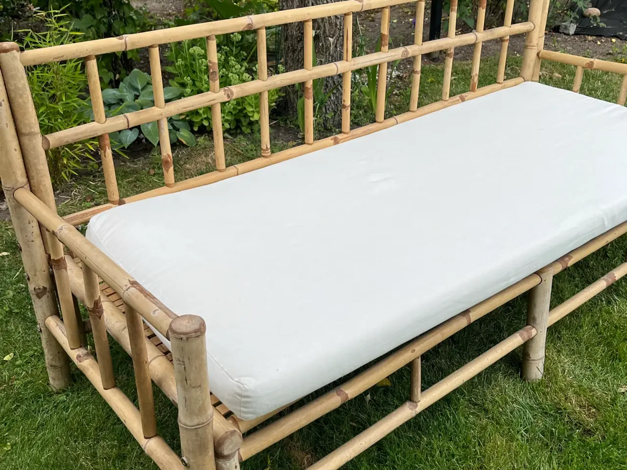 Billede 1 - Bambus  have sofa