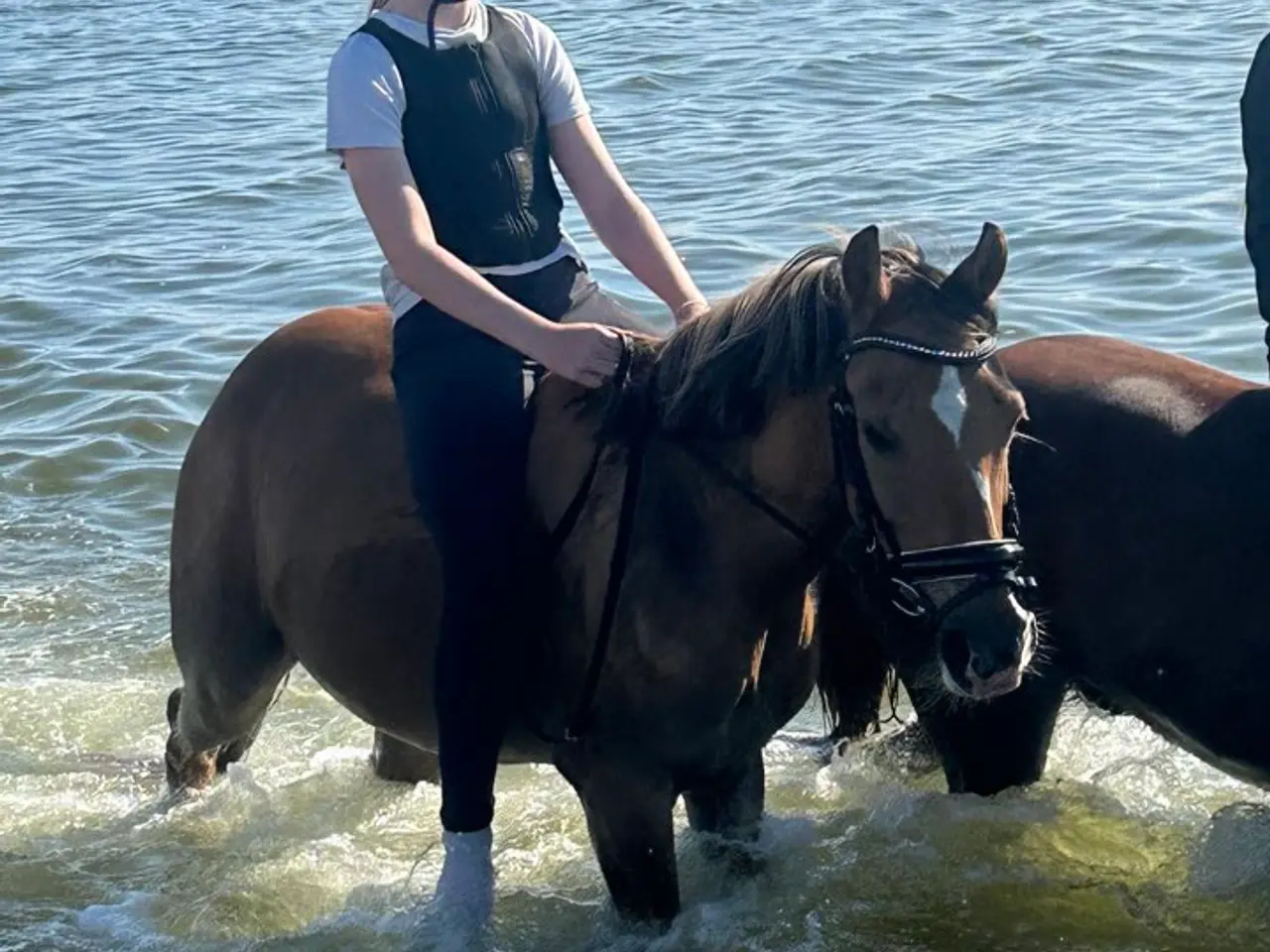 Billede 6 - 2'er pony