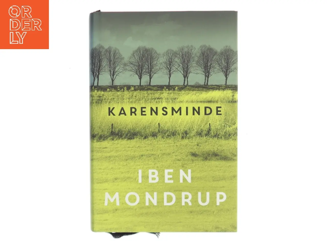 Billede 1 - Karensminde : roman af Iben Mondrup (Bog)