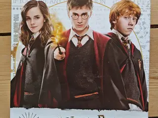 Steve Jackson Munchkin Harry Potter Brætspil