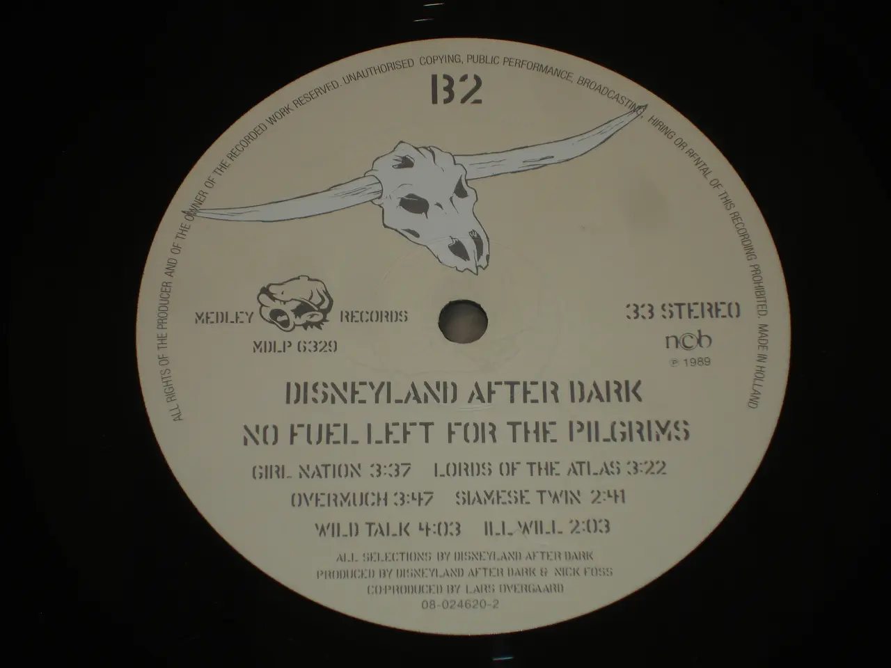 Billede 5 - Disneyland After Dark – No Fuel Left For The Pilgr