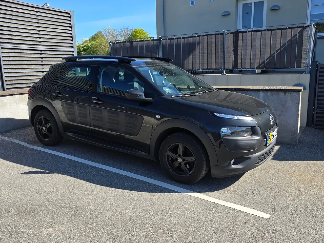 Billede 4 - C4 cactus van 1.6 d manual