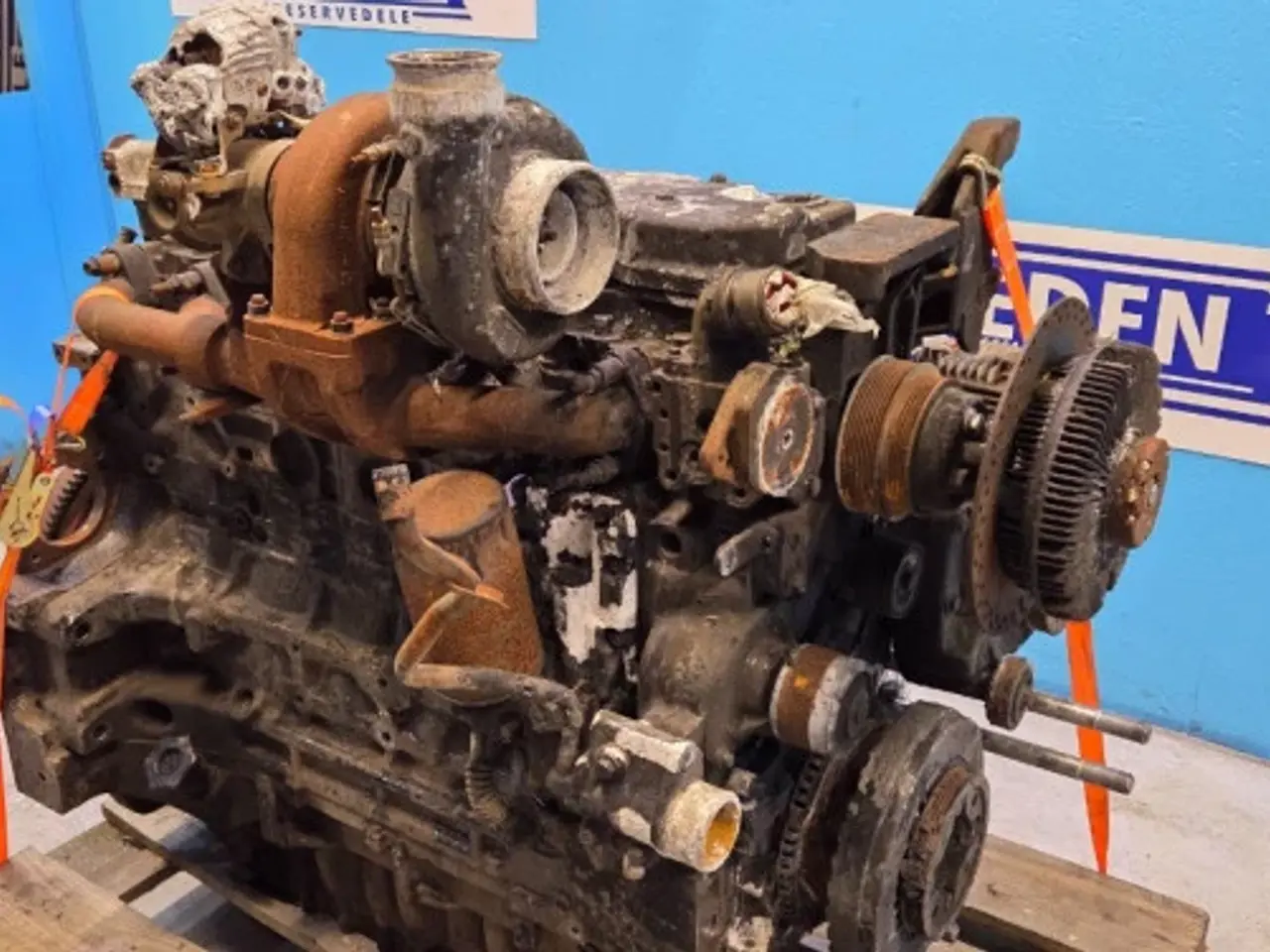 Billede 19 - Iveco F4DGE614H Motor 51693360