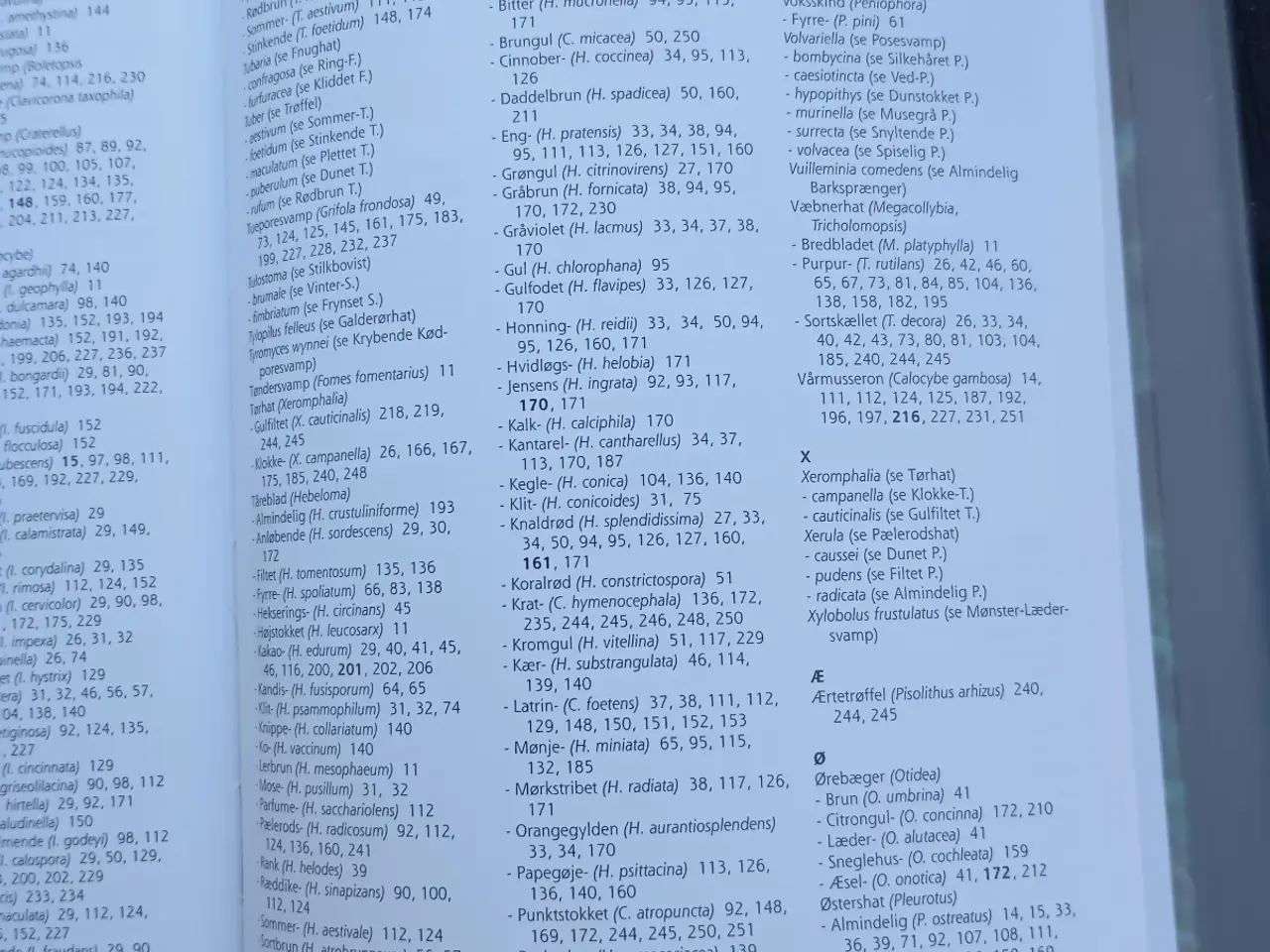 Billede 11 - Danmarks Svampelokaliteter