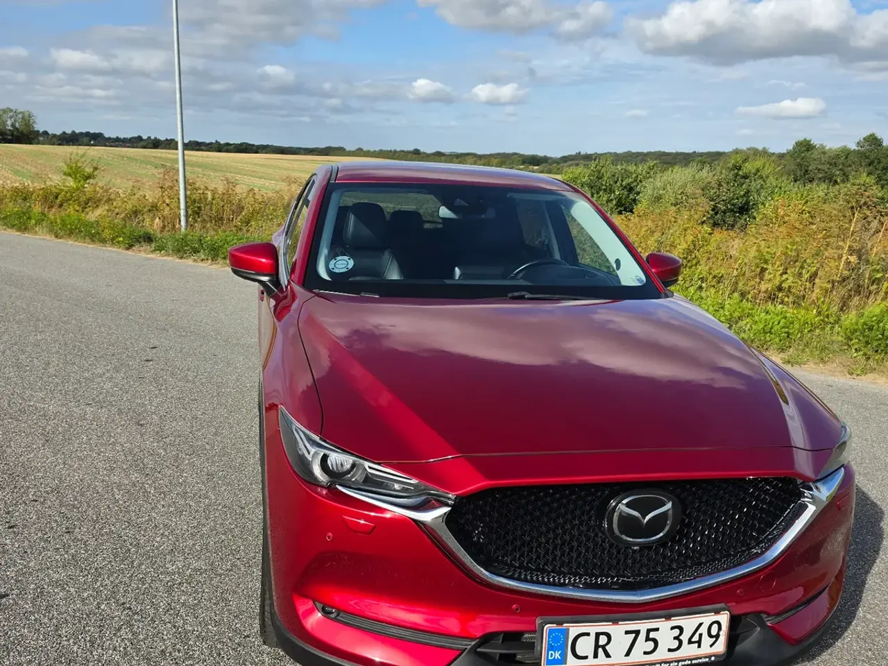 Billede 3 - Mazda CX-5 2,2 SkyActiv-D 184 Optimum aut. AWD