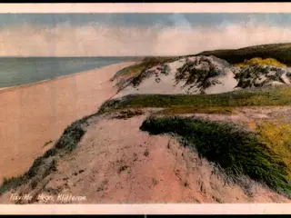 Tisvilde Hegn - Klitterne - Rudolf Olsen 1102 - Brugt