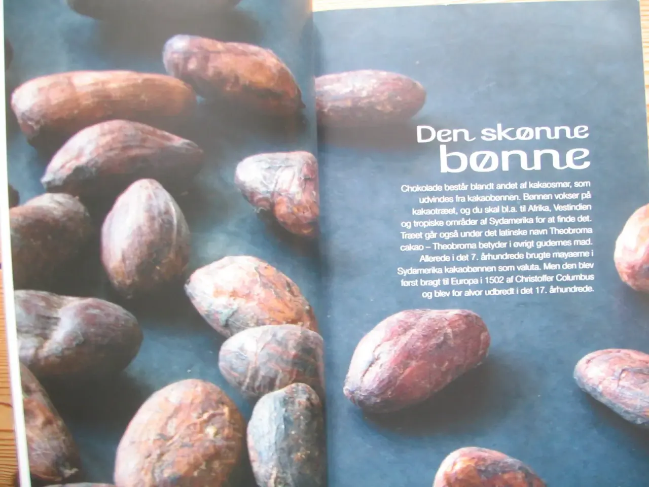 Billede 3 - Mette Blomsterberg m.m. Chokolade