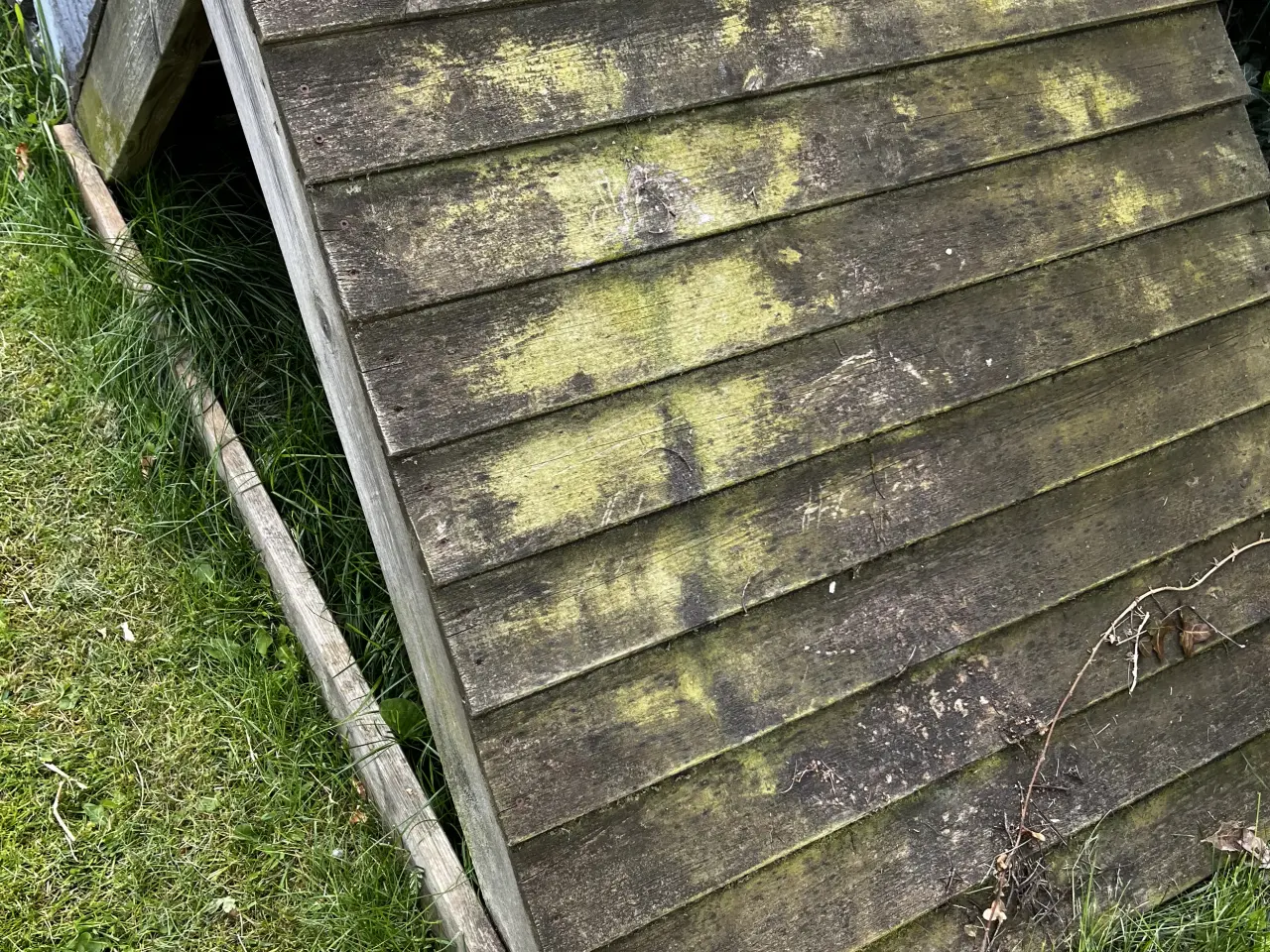 Billede 1 - Lille hundehus til haven