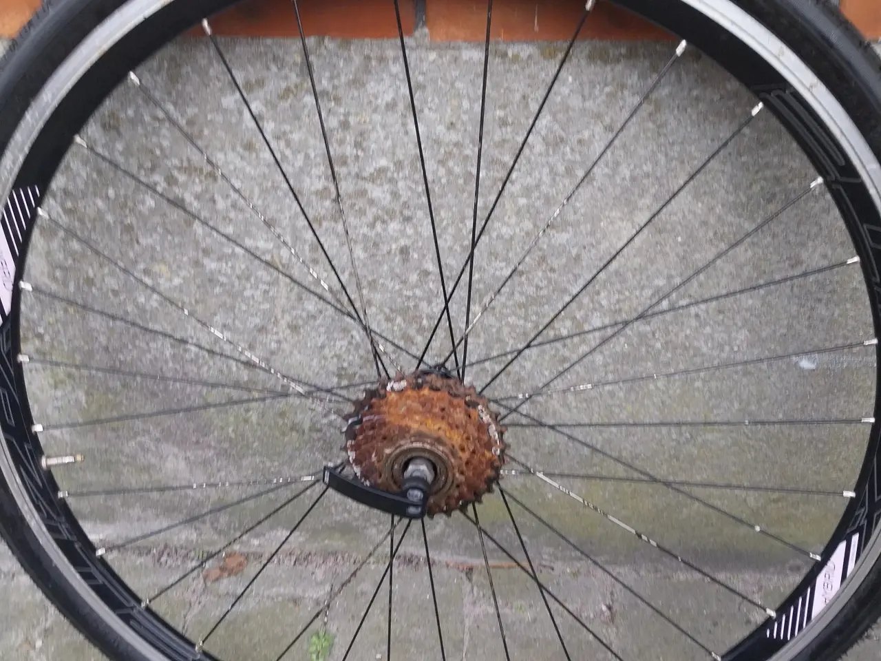 Billede 14 - Kenda west cykelhjul 2 stk
