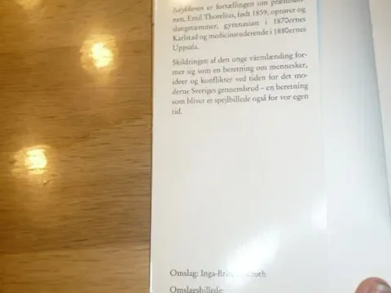 Billede 4 - Isdykkeren