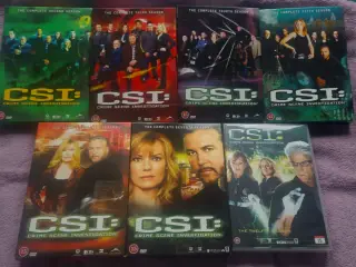 7 x Csi