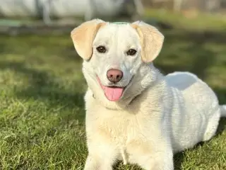 Luna