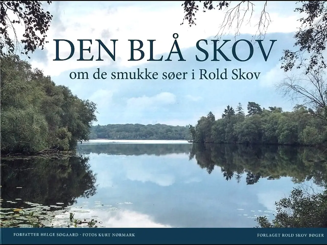 Billede 1 - Den blå Skov