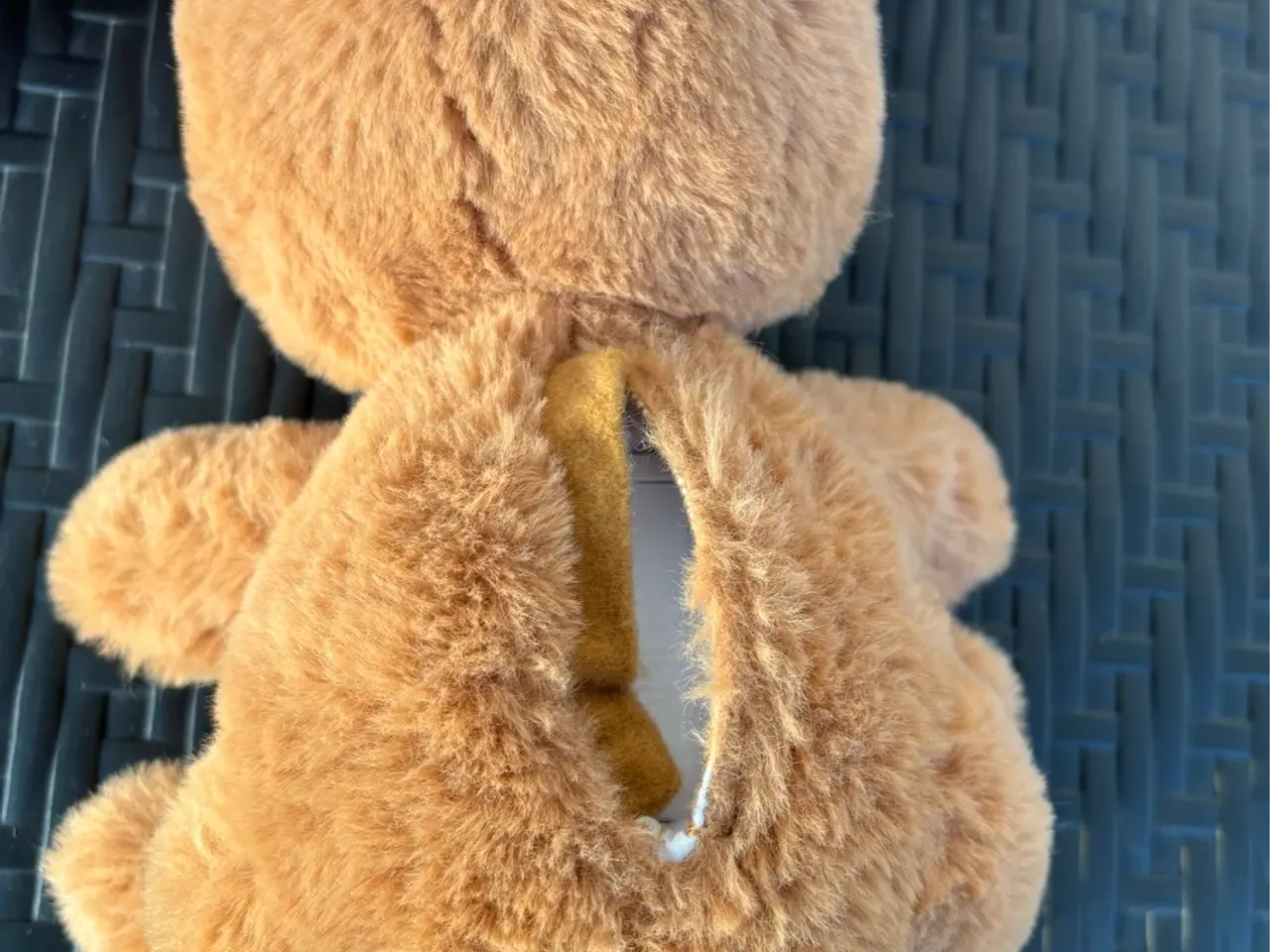 Billede 3 - Sød hund med kødben.