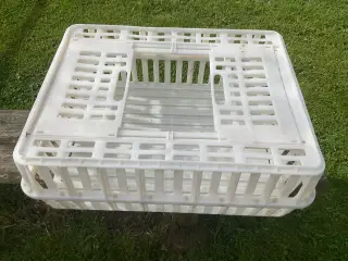 Transportbur til fjerkræ