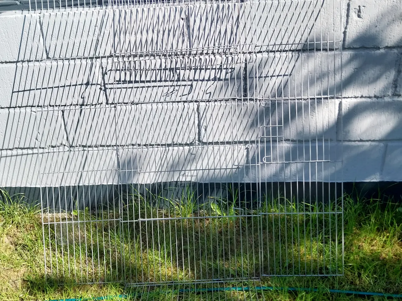 Billede 1 - Dobbelt kaninbur ny pris 1200kr sælges 650kr