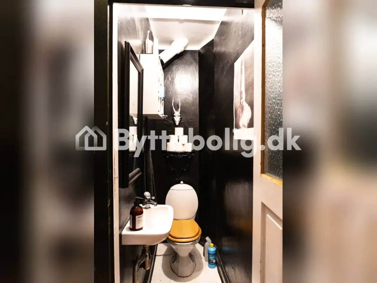 Billede 9 - Solnedgange, æbletræer og ro midt på Nørrebro til 3.535/m.