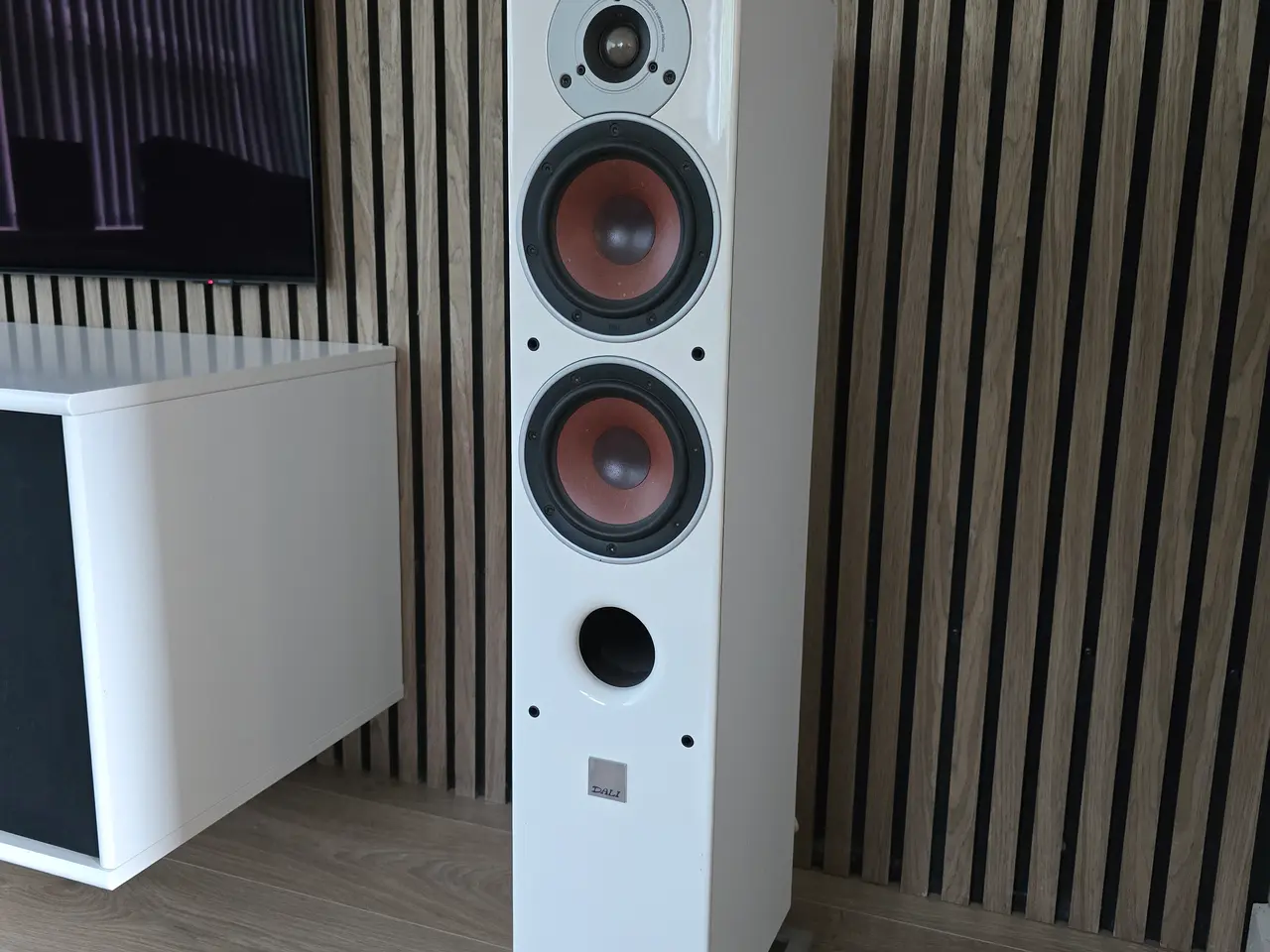 Billede 2 - Dali 5.1 Surround sæt