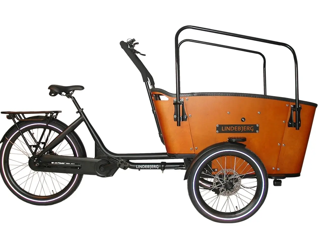 Billede 6 - Lindebjerg Adventure - Ladcykel