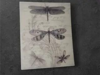 Annonce 25 - Hobby