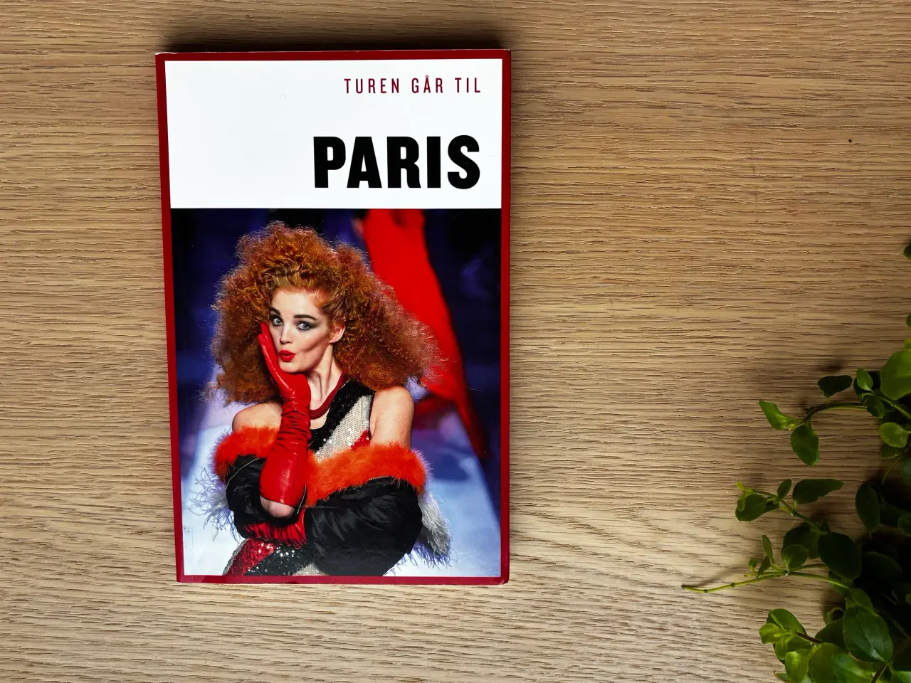Billede 1 - Turen går til PARIS