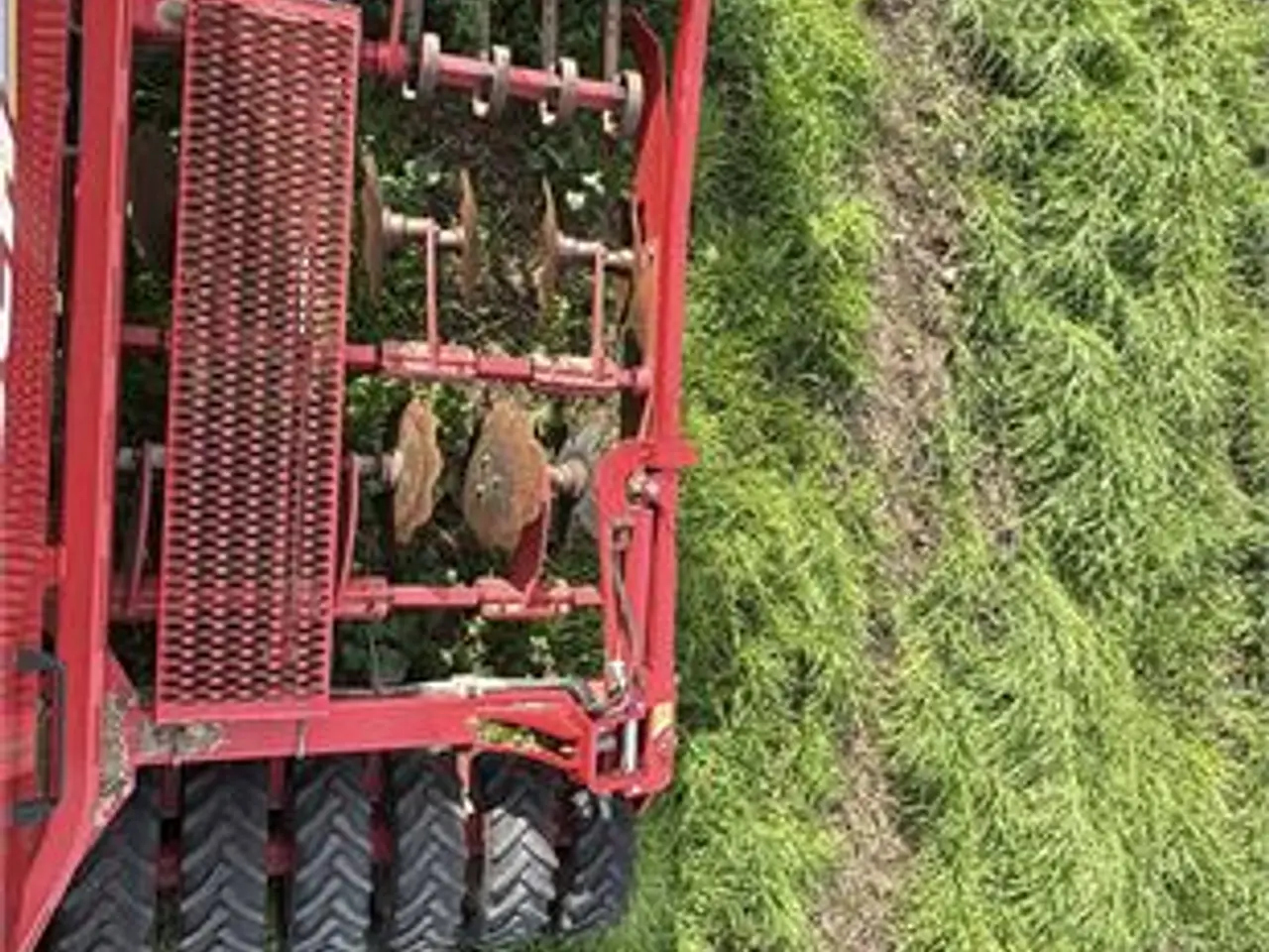 Billede 52 - Horsch Pronto 4 Dc Starr - kombi såsæt/combination seed drill