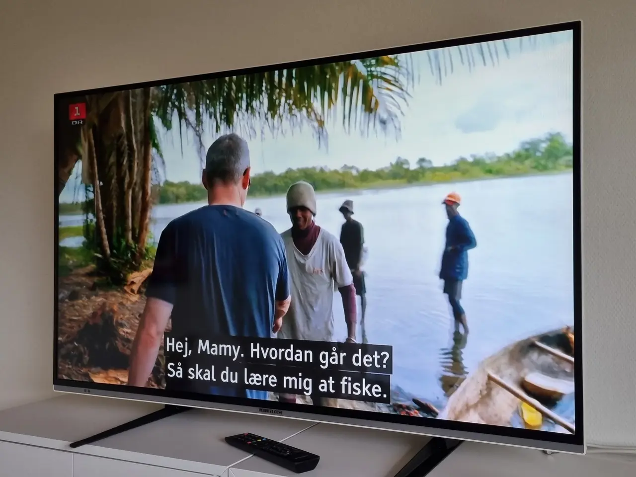 Billede 1 - 49" Grundig TV