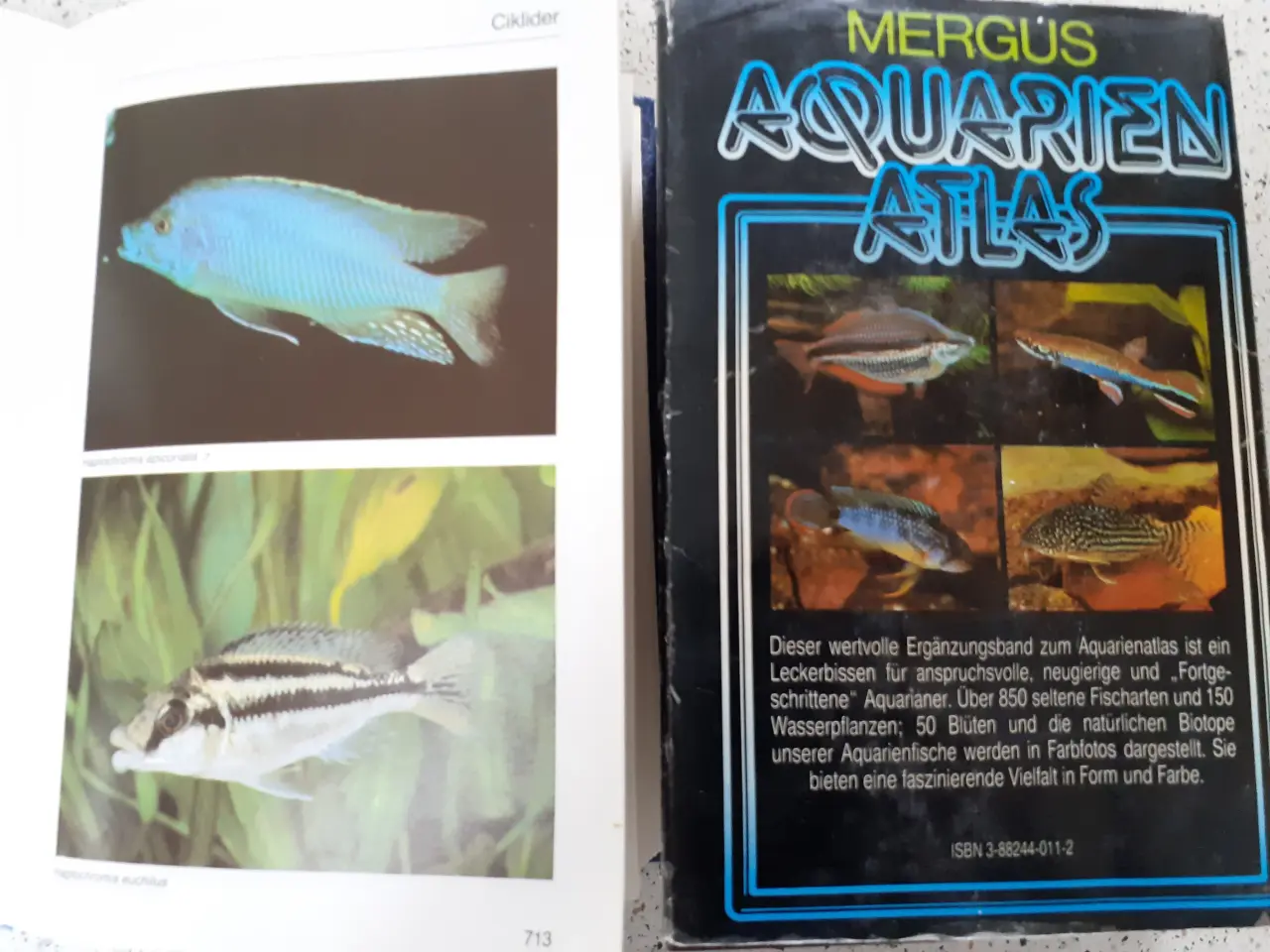 Billede 1 - Akvarieleksikon