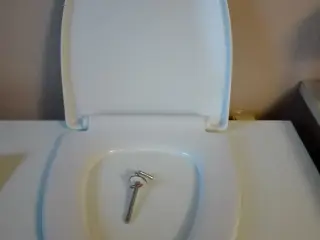 Toiletsæde