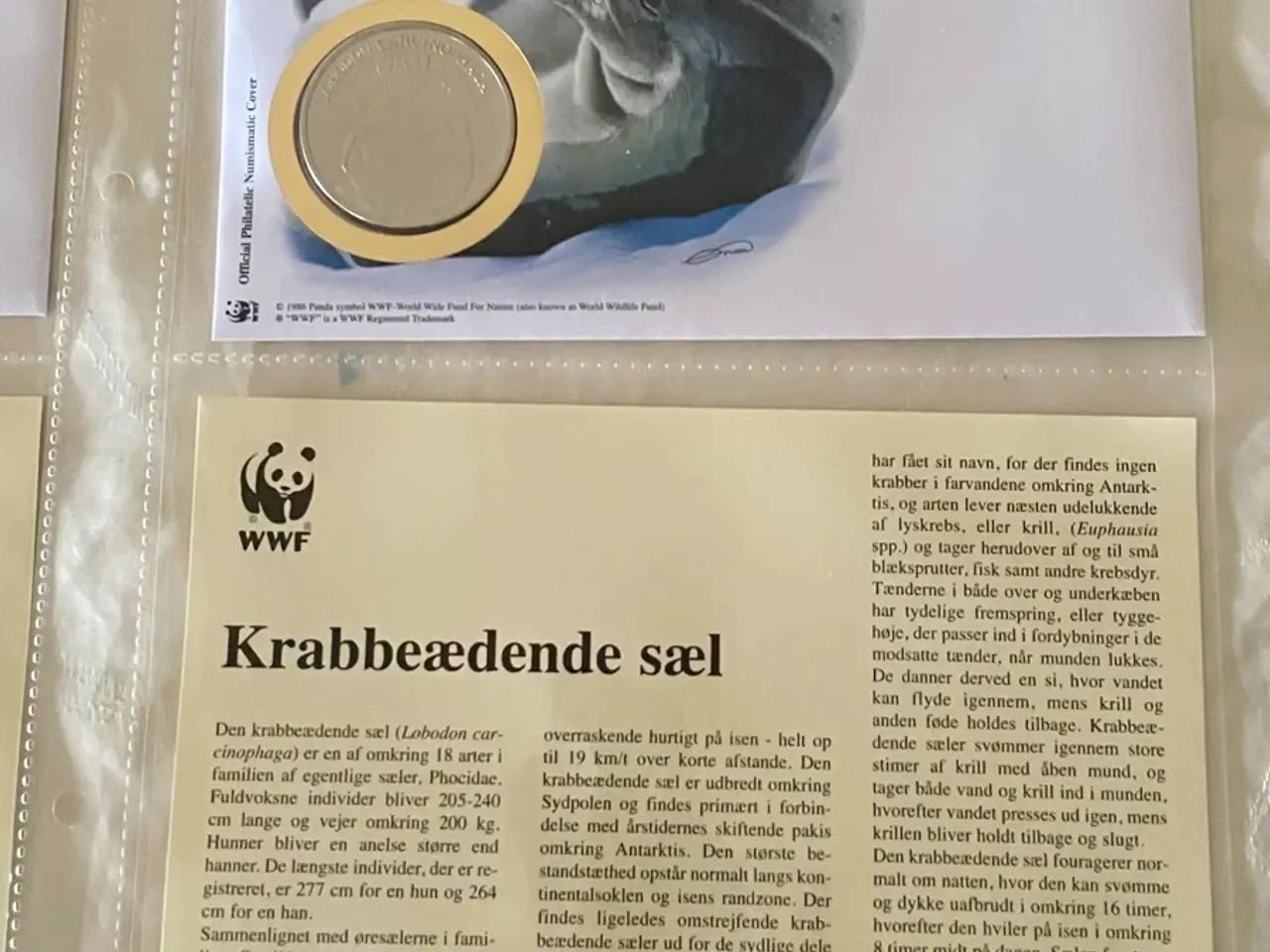 Billede 13 - 12 WWF møntbreve i samlemappe (sæt 2)