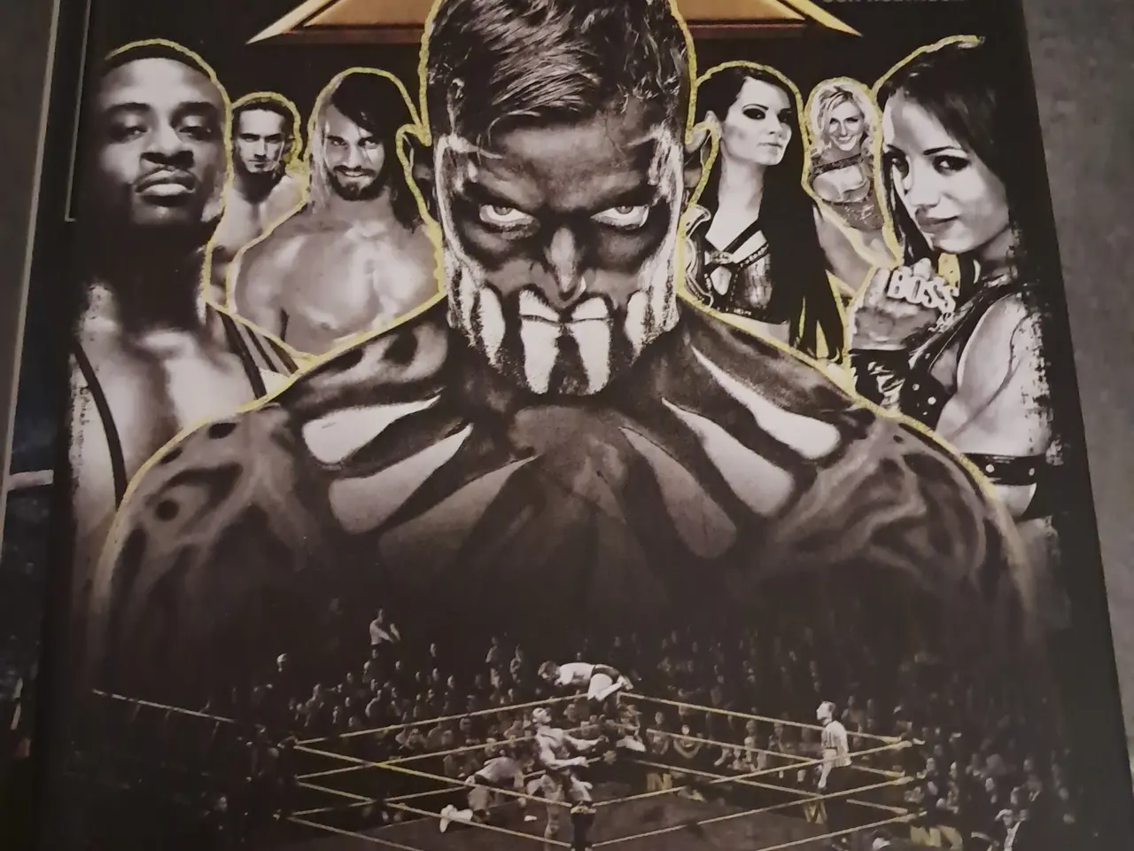 Billede 1 - Wwe bøger 