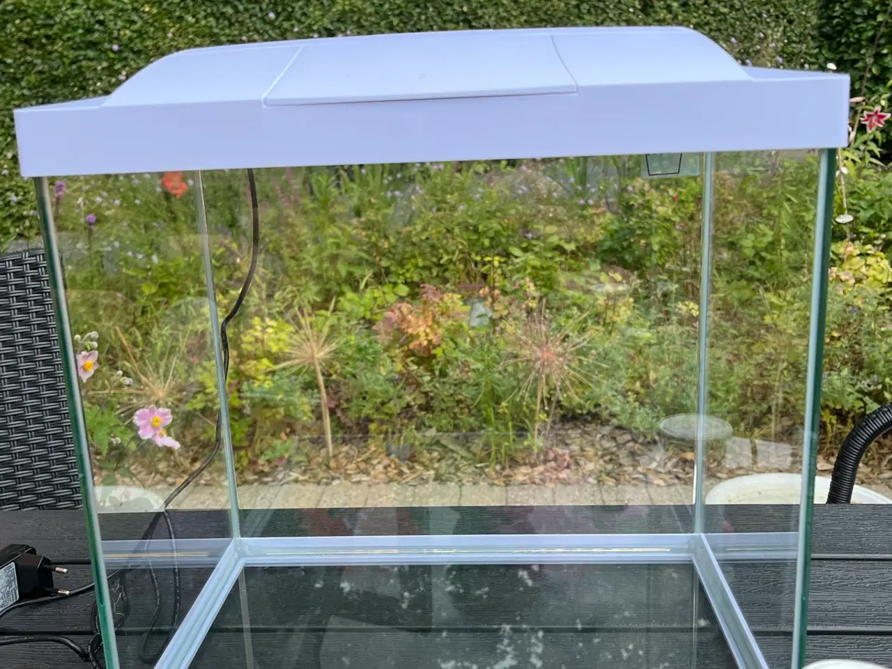 Billede 3 - Akvarie 25 l med diverse tilbehør