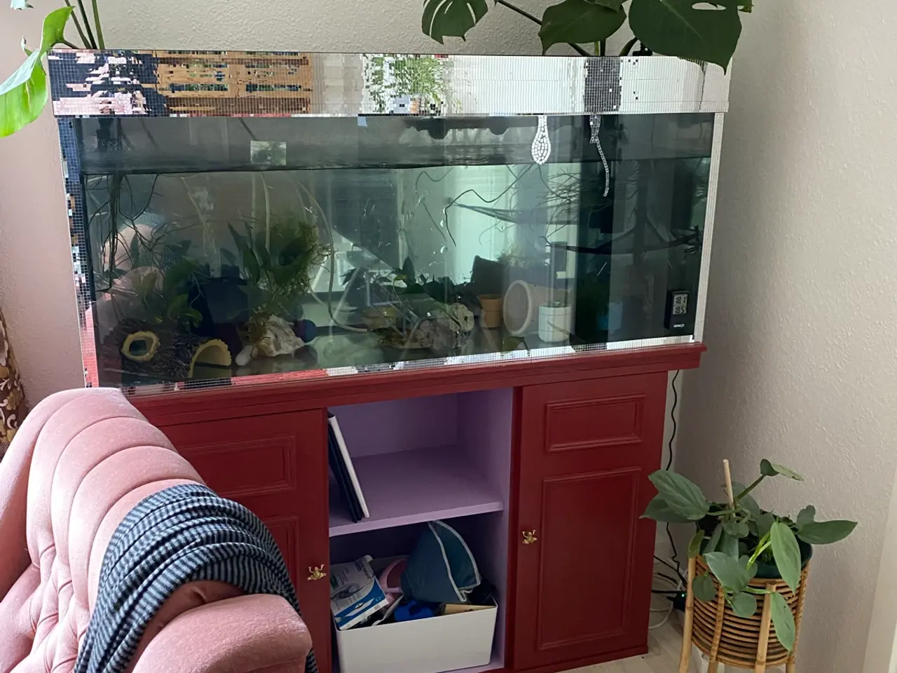 Billede 2 - Akvarie m. Tilbehør - perfekt til axolotler