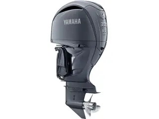 Yamaha F300XCB