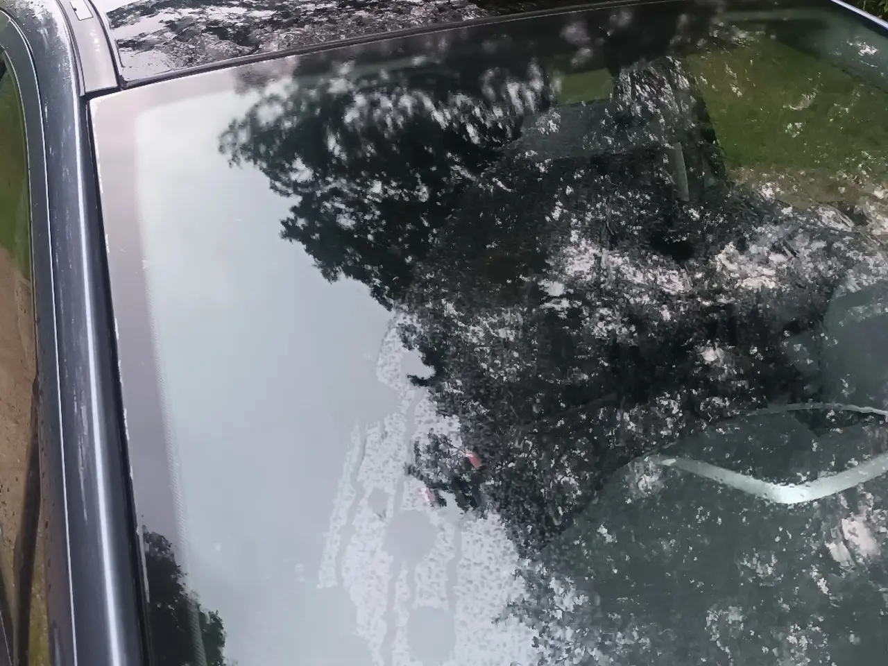 Billede 5 - Peugeot 207 med panorama tag