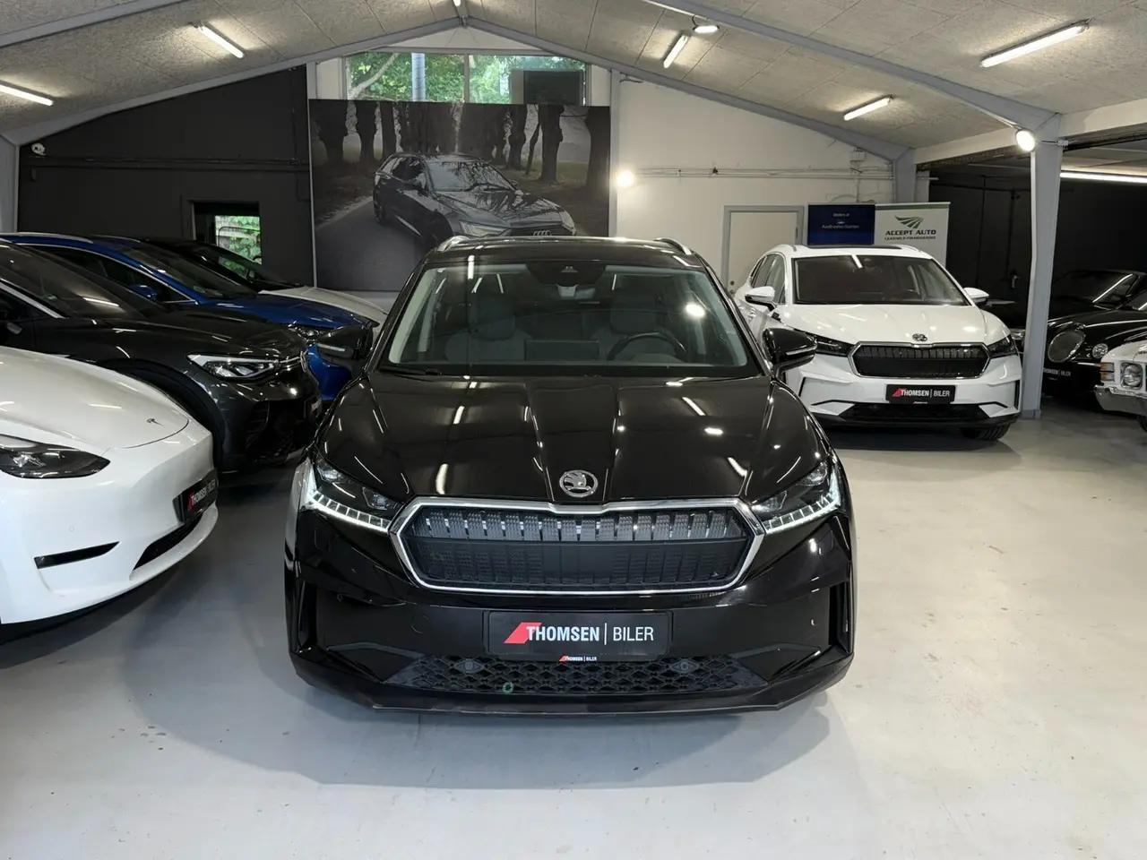 Billede 2 - Skoda Enyaq 80 iV Premium