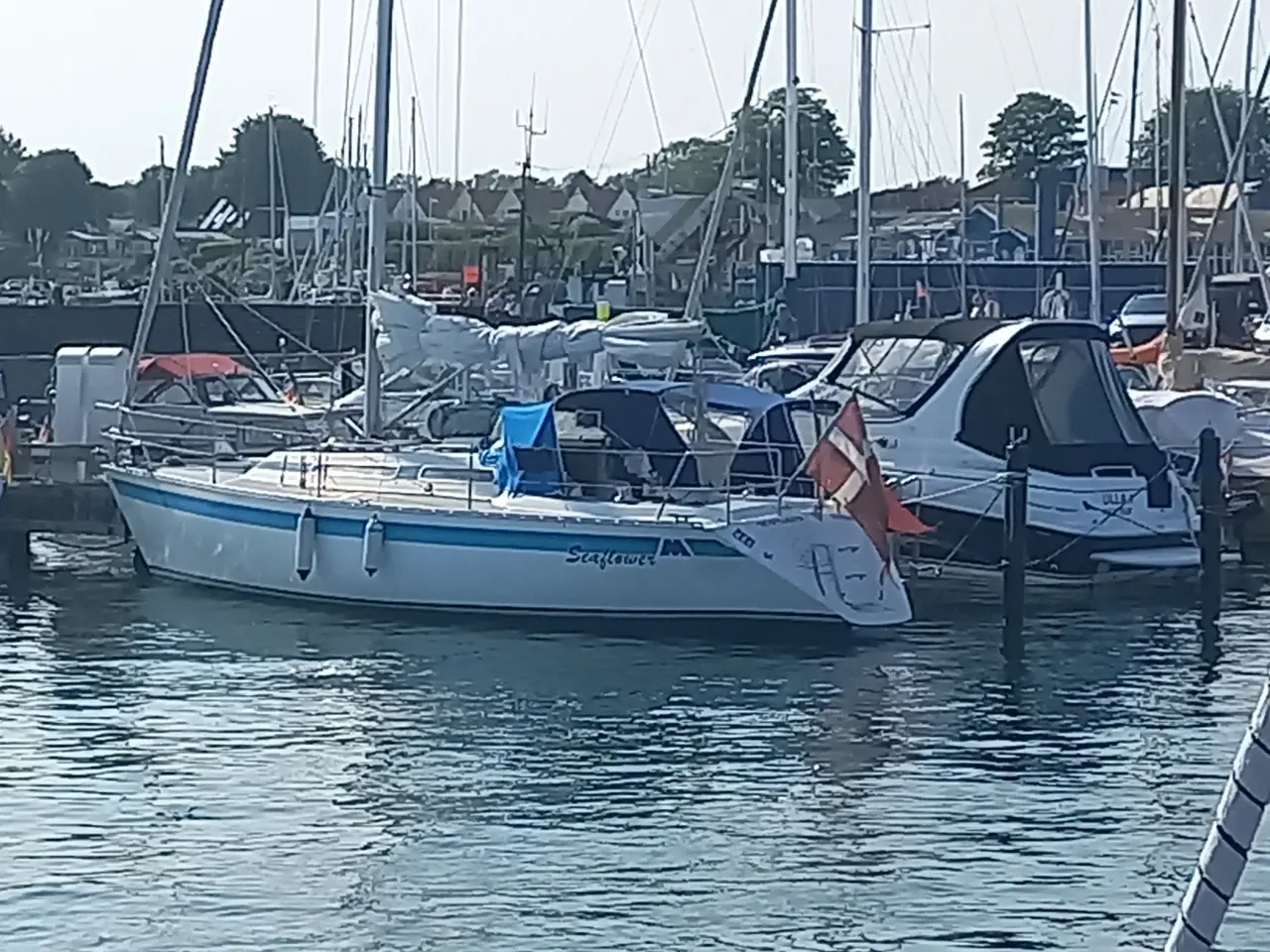 Billede 13 - Møn 341