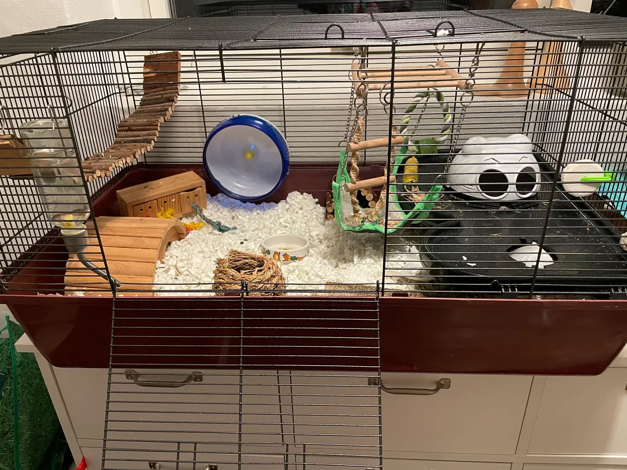 Billede 4 - Hamsterbur med tilbehør og mad